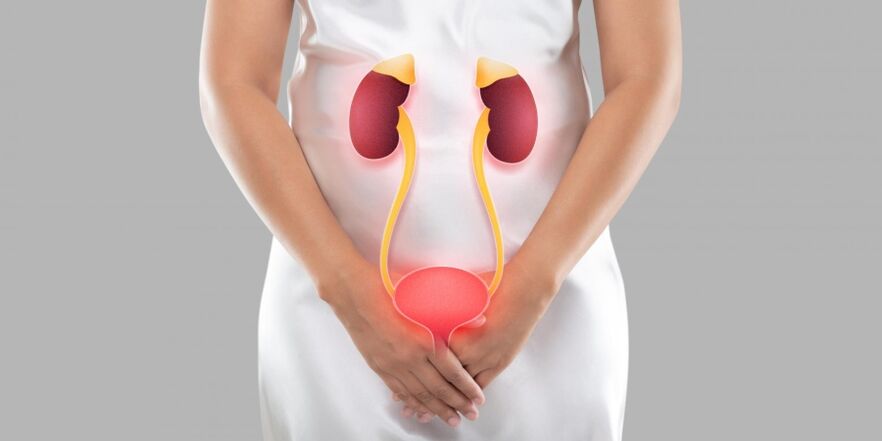 Female cystitis is an inflammation that occurs in the tissue of the bladder